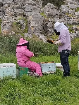 Honey in Traditional Medicine: