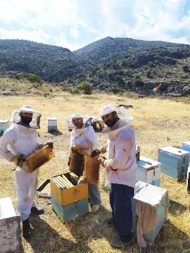 The Unsung Heroes of Our Plates